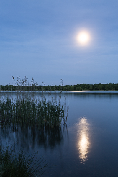 Début de soirée sous la pleine lune, début de nuit au Lac de Reiningue en Alsace